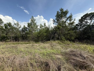 Photo of Listing #R11091382