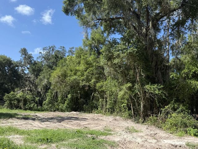 115 Roddy Lane, Palatka