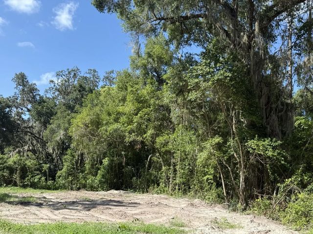 2 of 5 - 115 Roddy Lane, Palatka, FL