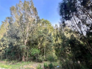 Photo of Listing #F10505271