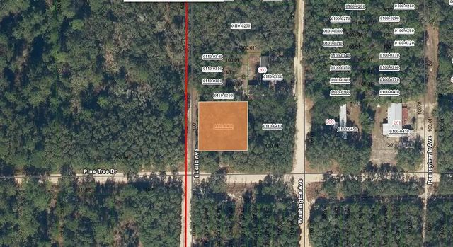0000 Pine Tree Drive, Palatka