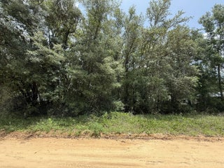 Photo of Listing #R11095782