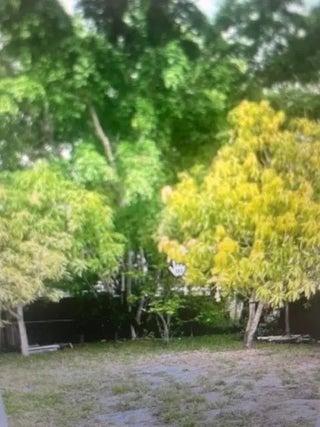 Photo of Listing #F10507073