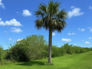 Photo of Listing #F10507198