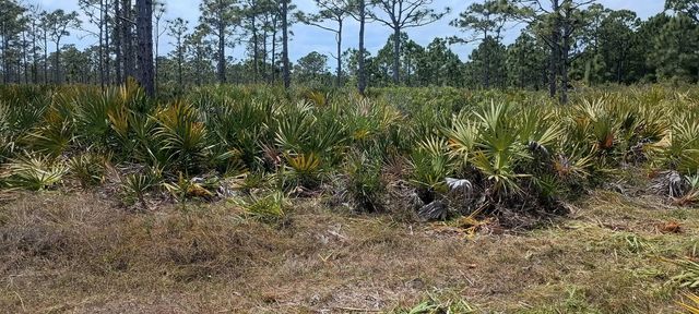3 of 7 - 000 None, Grant Valkaria, FL