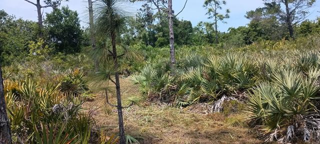 4 of 7 - 000 None, Grant Valkaria, FL