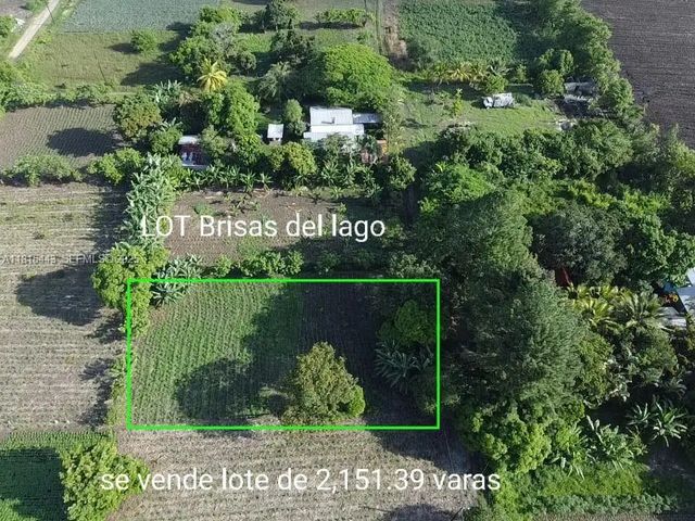 03 Lago De Yojoa, 
