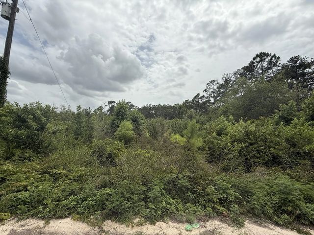 4 of 9 - 129 Fishermans Drive, Interlachen, FL