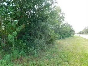 Photo of Listing #F10491232