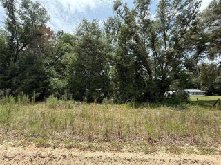 Photo of Listing #R11098919