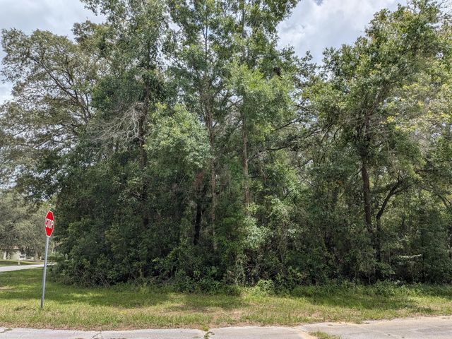 8989 N Conch Terrace, Dunnellon
