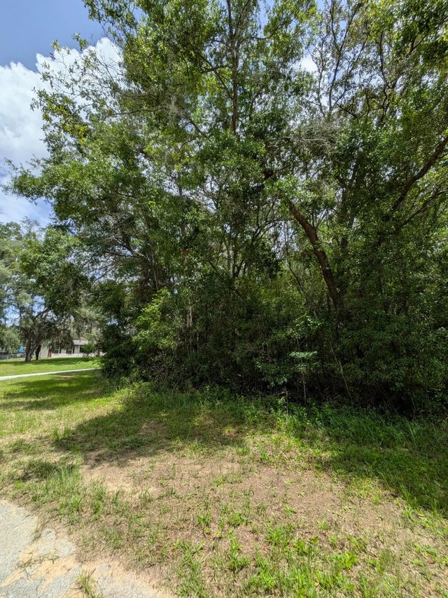 2 of 4 - 8989 N Conch Terrace, Dunnellon, FL