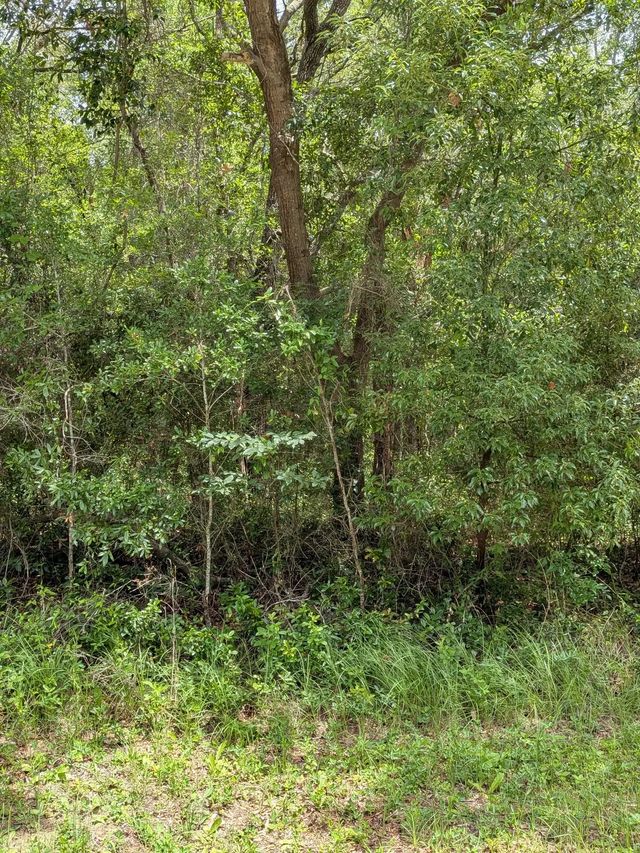 3 of 4 - 8989 N Conch Terrace, Dunnellon, FL