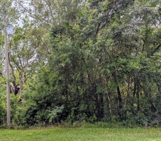 Photo of Listing #R11099359