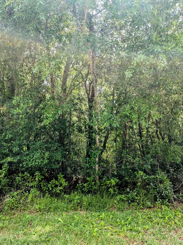 3 of 4 - 8970 N Joann Drive, Citrus Springs, FL