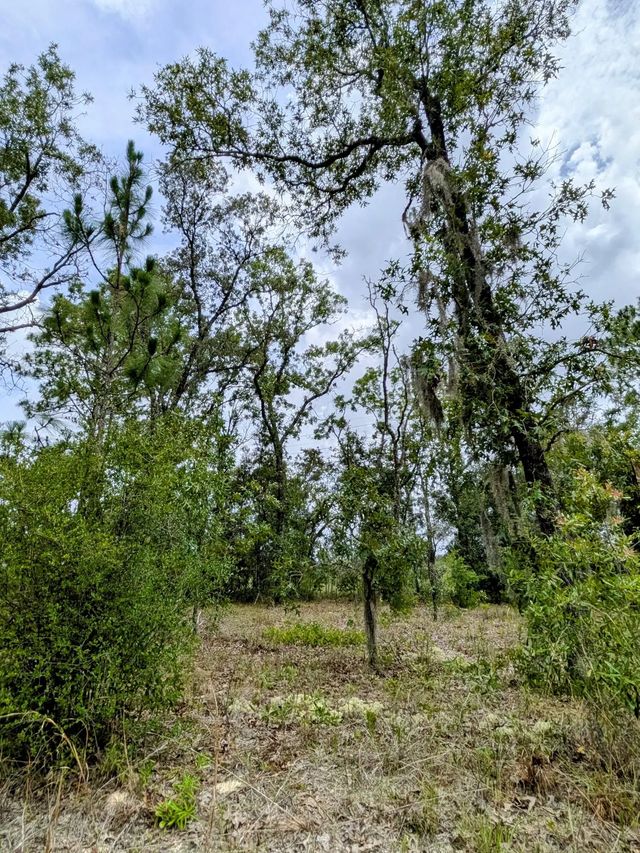 2 of 3 - 2450 W Rutland Drive, Citrus Springs, FL