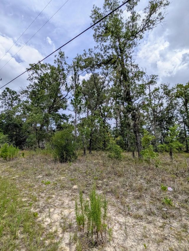 3 of 3 - 2450 W Rutland Drive, Citrus Springs, FL