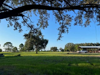 Photo of Listing #F10484444