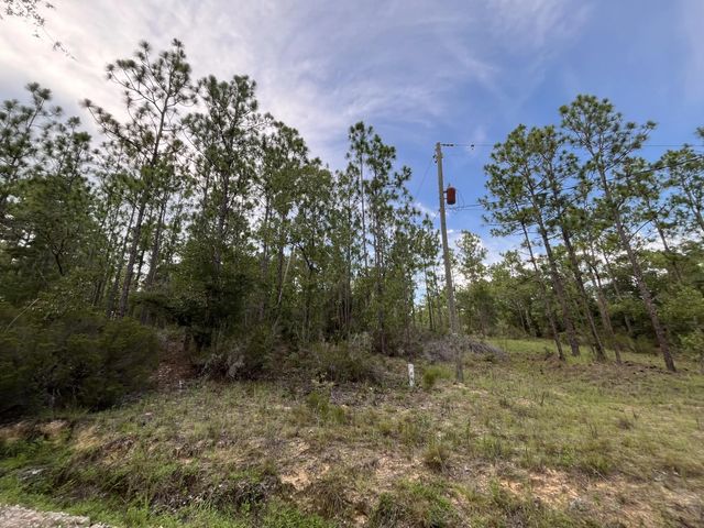 2 of 9 - 124 New York Avenue, Interlachen, FL