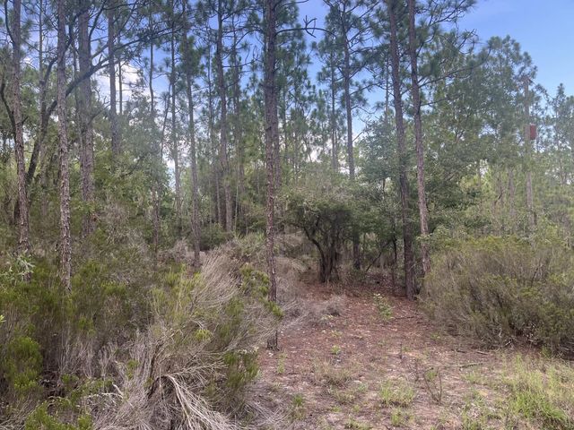 4 of 9 - 124 New York Avenue, Interlachen, FL