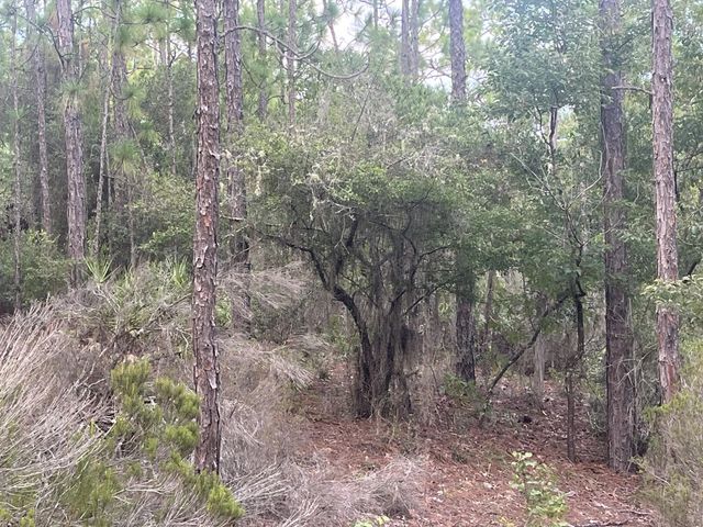 5 of 9 - 124 New York Avenue, Interlachen, FL