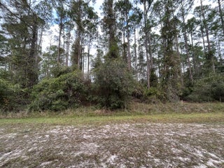 Photo of Listing #R11100216