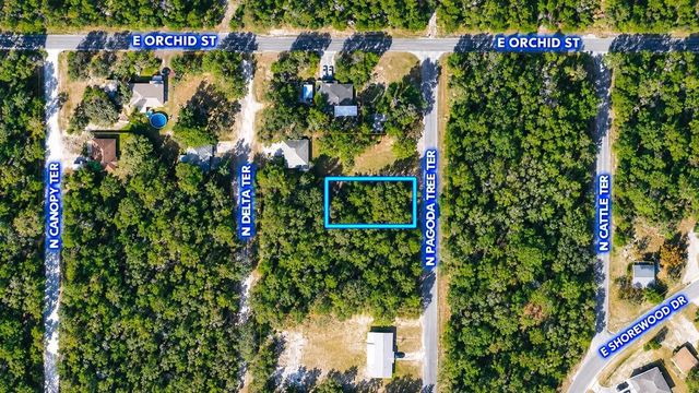6634 N Pagoda Tree Terrace, Hernando