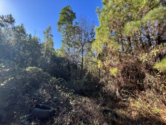 223 Mourning Dove Road, Satsuma