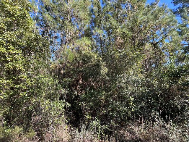 3 of 6 - 223 Mourning Dove Road, Satsuma, FL