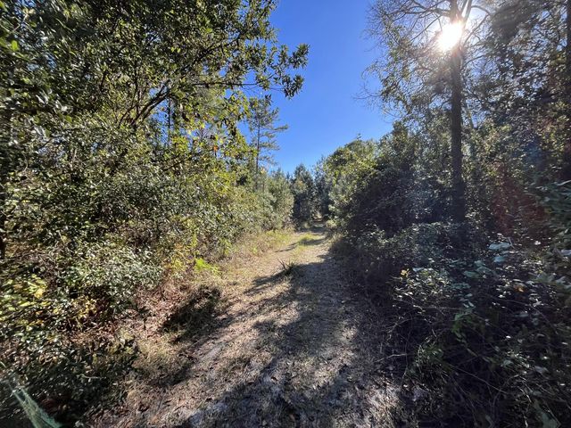 4 of 6 - 223 Mourning Dove Road, Satsuma, FL