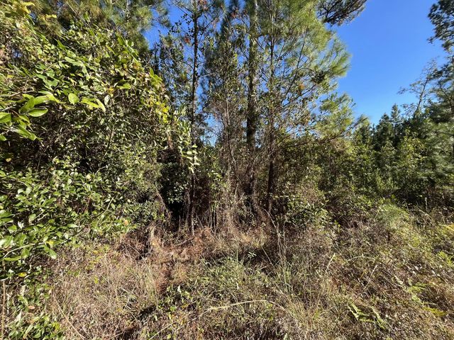 5 of 6 - 223 Mourning Dove Road, Satsuma, FL