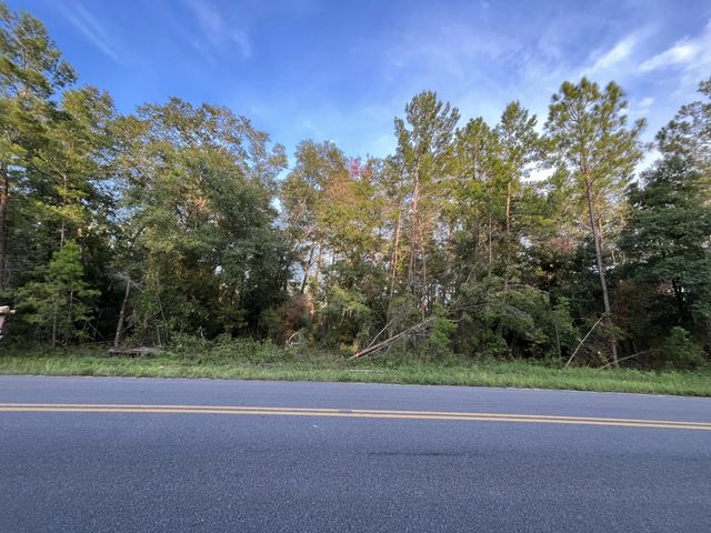 Tbd Twin Lakes Road, Interlachen