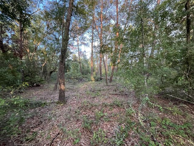 3 of 8 - Tbd Twin Lakes Road, Interlachen, FL