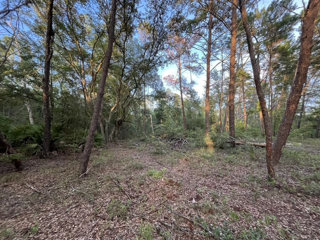 4 of 8 - Tbd Twin Lakes Road, Interlachen, FL