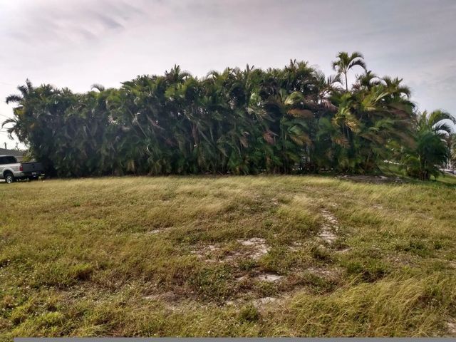 5 of 6 - 1727 Se 16th Street, Cape Coral, FL