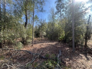 Photo of Listing #R11012074