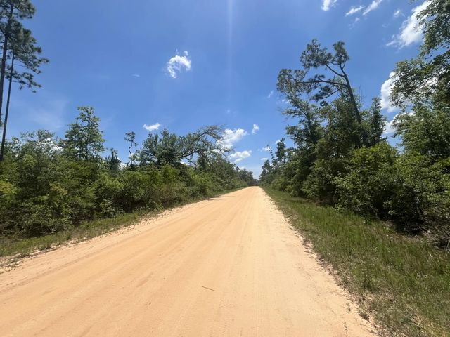 2 of 9 - Tbd Tamarac Road, Marianna, FL