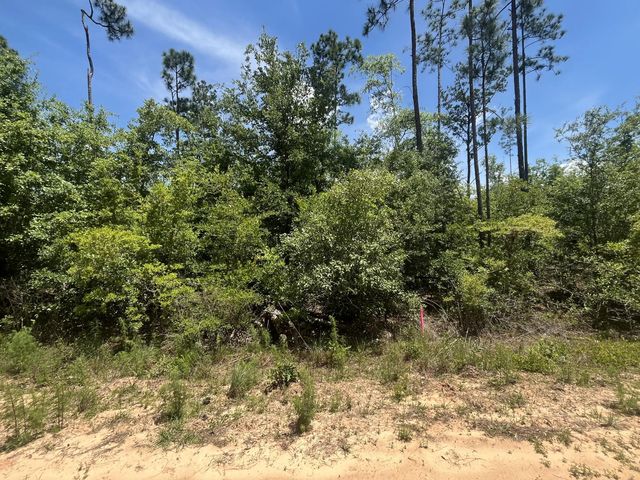 3 of 9 - Tbd Tamarac Road, Marianna, FL