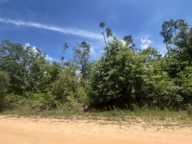 4 of 9 - Tbd Tamarac Road, Marianna, FL