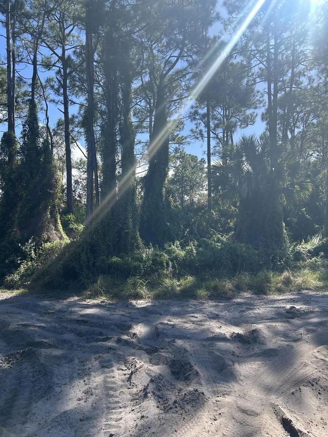 3 of 4 - 0 Slash Pine Trail, Fort Pierce, FL