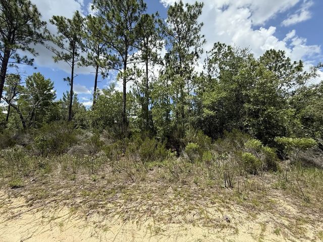 187 Paris Street, Interlachen