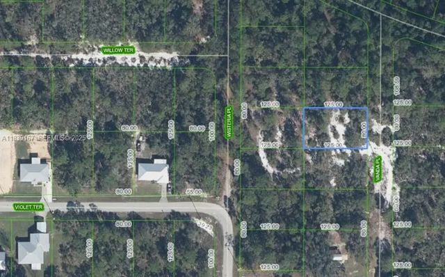 2 of 3 - 6809 Vanda Place, Sebring, FL