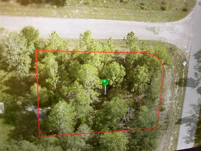 2 of 3 - 6689 N Bedstrow Boulevard, Citrus Springs, FL
