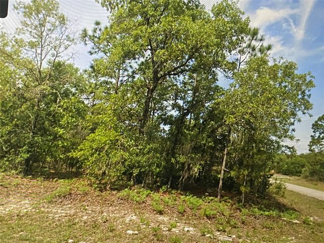 3 of 3 - 6689 N Bedstrow Boulevard, Citrus Springs, FL