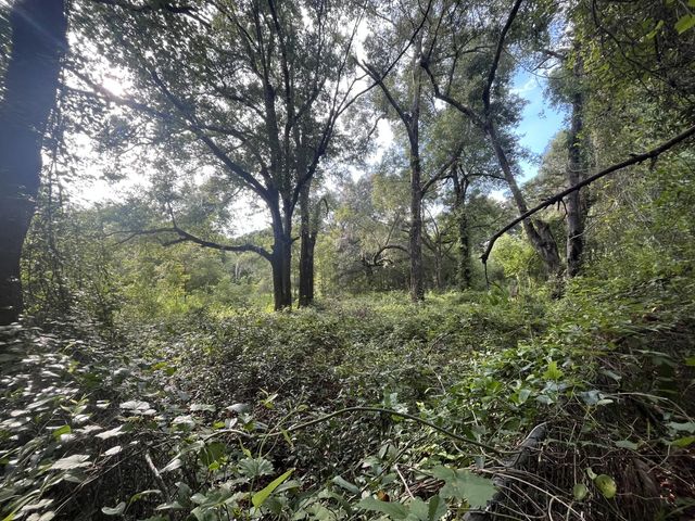 2 of 8 - 305 Milton Avenue, Interlachen, FL