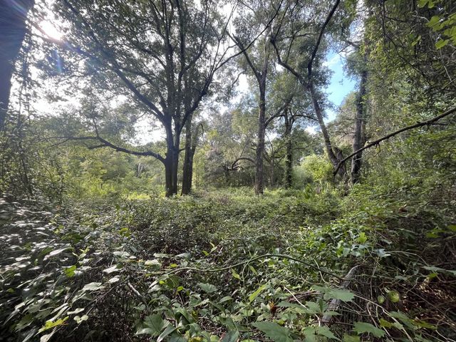 4 of 8 - 305 Milton Avenue, Interlachen, FL
