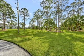 Photo of Listing #R11109519