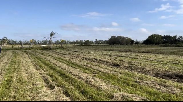 2 of 11 - 1503 S Header Canal Road, Fort Pierce, FL