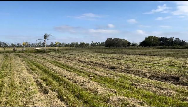 3 of 11 - 1503 S Header Canal Road, Fort Pierce, FL