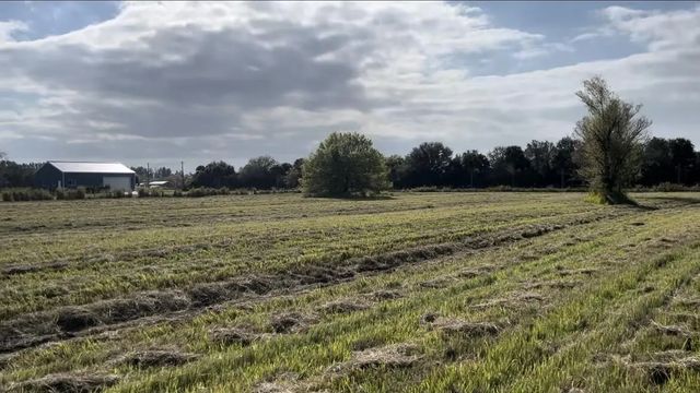 4 of 11 - 1503 S Header Canal Road, Fort Pierce, FL